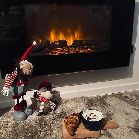 Ski, Cocoa & Novel Bjelasnica, Garage &