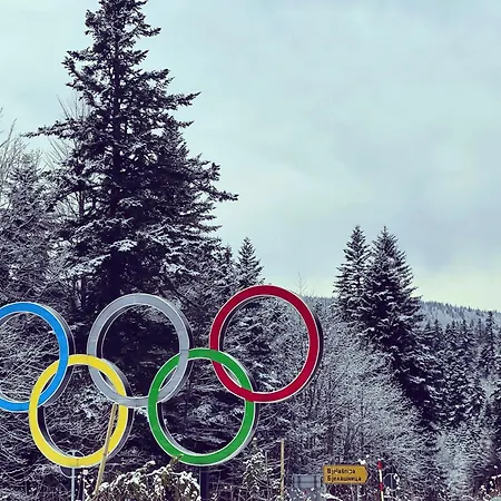 Ski, Cocoa & Novel Bjelasnica, Garage & *