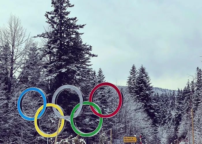 Ski, Cocoa & Novel Bjelasnica, Garage & *