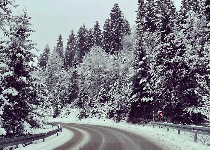 Lejlighed Ski, Cocoa & Novel Bjelasnica, Garage & Bjelašnica